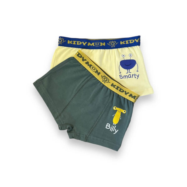 Set of 2 Boys Boxers