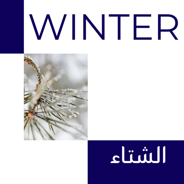 Girls winter wool leggings - knit wear - Black